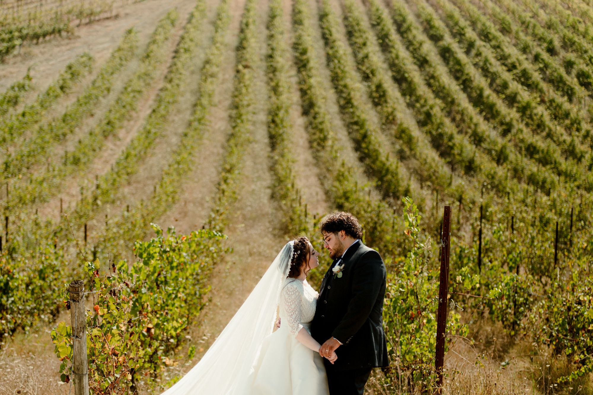 A bride and groom standing in the rows of a hillside vineyard